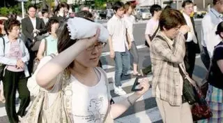 Более 3 тысяч человек пострадали от жары в Японии