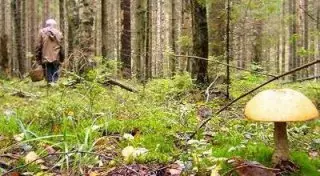 Потерявшегося в Восточном Казахстане мужчину нашли спустя 4 дня