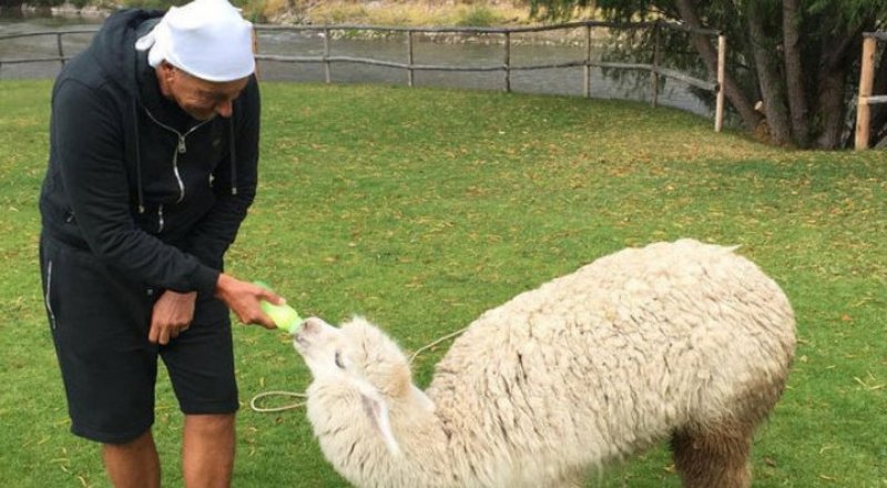 Фото: Instagram / stefanogabbana