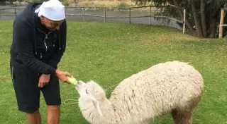 Стефано Габбана шокировал пользователей Instagram антитрендом