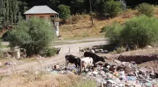 Урочище Бургулюк в ЮКО превратили в свалку