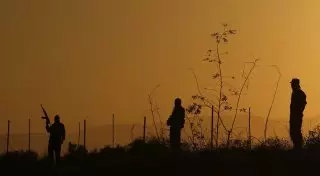 ИГ (ДАИШ) сосредоточится на вербовке боевиков на Кавказе и в Средней Азии - эксперты