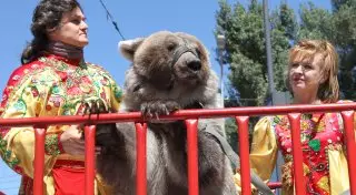 Цирковая кавалькада состоялась в Алматы