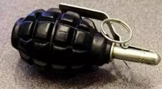 Гранату и героин нашли у отдыхающих на турбазе рядом с Рудным