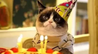 Жителя Душанбе оштрафовали за празднование дня рождения с друзьями