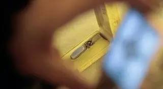 Московский коллекционер пожертвует колье Фаберже для помощи больным детям из Уральска