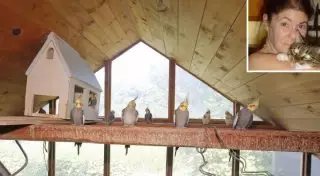 Американская миллионерша завещала часть наследства попугаям