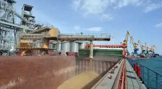В морском порту Актау отгружается зерно нового урожая