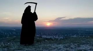 Ученые определили запах смерти и запах счастья