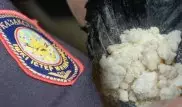 Задержанный с героином полицейский в Карагандинской области и его начальник уволились