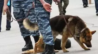 В Караганде саперы вместо бомбы нашли чемодан с книгами