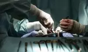 Искусственно выращенная почка сможет заменить настоящую