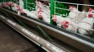 Информацию о возможном запрете на ввоз товаров из России не подтвердили