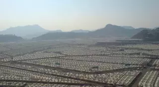 220 паломников погибли в давке близ Мекки - СМИ