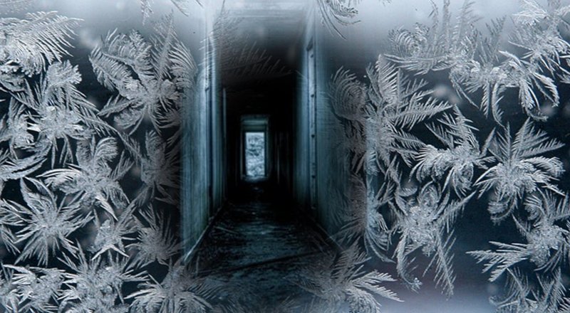 Коллаж © Tengrinews.kz