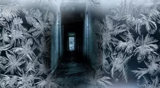 Смерть оставленных без присмотра новорожденных близнецов в ВКО расследует полиция