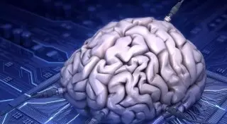 Искусственный интеллект не смог справиться с детским тестом на IQ