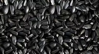 Жительницу ЮКО арестовали за пристрастие к семечкам