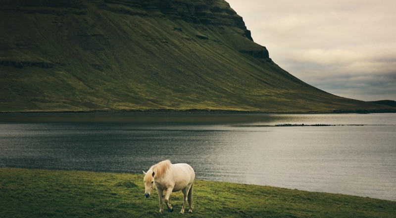 Фото с сайта boredpanda.com