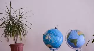 Директора школы и учителя уволили после падения шкафа на второклассницу в ЮКО