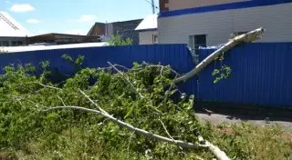 Алматинцы "разрывают" телефоны службы спасения