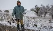 Дрон помогает пасти овец жителю Жамбылской области