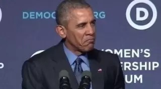 Путин перевоплотился в голубя, а Обама - в сердитого котика