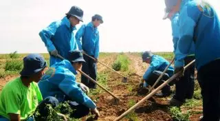 Около 12 миллионов тенге задолжал республиканский бюджет кызылординским жасылелевцам