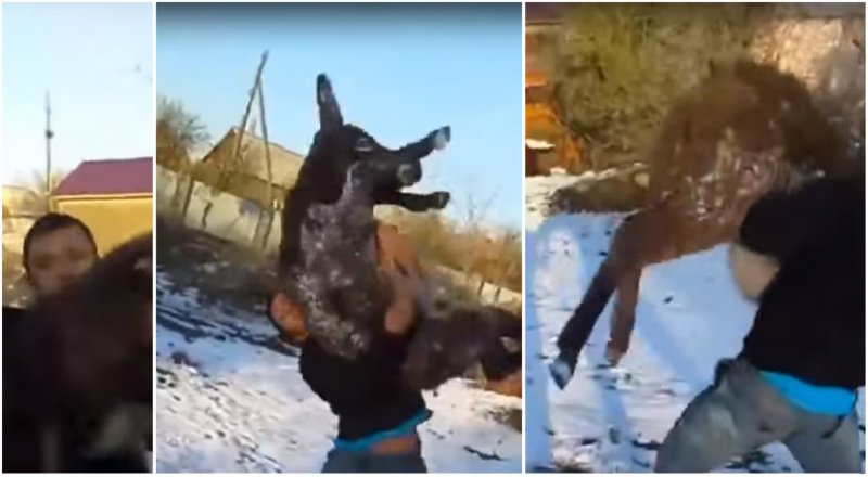 Кадры из видеоролика YouTube