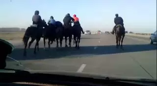 Видео с кокпаром на трассе изучают в полиции Алматинской области