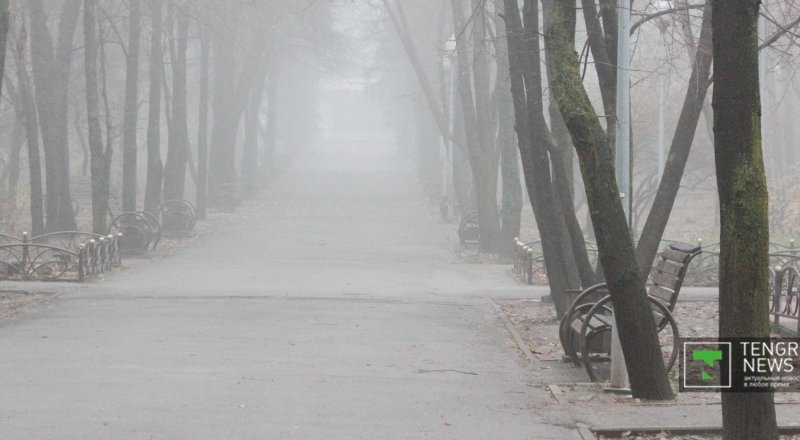 Фото © Николай Колесников