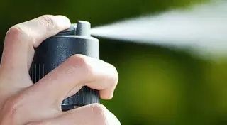 Перцовый баллончик распылили в одной из школ Алматы