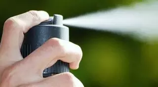 Полиция нашла школьника, распылившего перцовый баллончик в учебном заведении Алматы