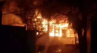 Около 100 голубей погибли при пожаре в Алматы