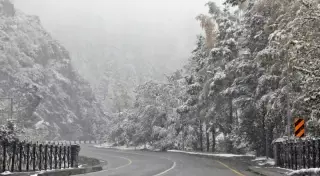 Снег и ветер ожидаются в Казахстане в ближайшие дни