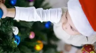 История одной новогодней елочки из степей Казахстана