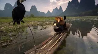 National Geographic составил ТОП-20 фото дня за 2015 год