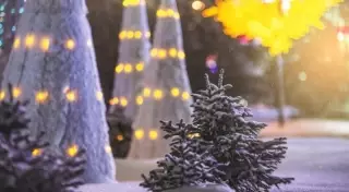 О погоде на Новый год в Казахстане рассказали синоптики