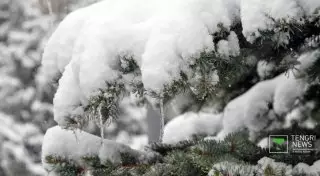О погоде в Казахстане в январе рассказали синоптики