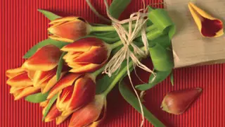 Шесть процентов россиян ничего не подарят женщинам на 8 марта