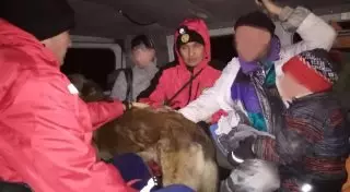 Катание на санках в горах едва не обернулось трагедией для алматинцев