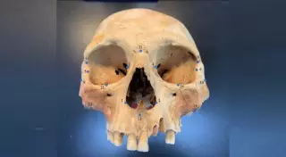 "Мифы" Христофора Колумба о карибских людоедах оказались правдой