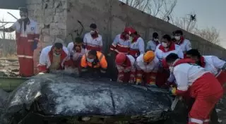 Генштаб Ирана узнал причину авиакатастрофы Boeing в среду