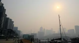 Строители отказываются работать из-за загрязнения воздуха в Австралии