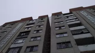 Тополя высадят для борьбы с креном многоэтажки в Алгабасе