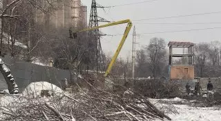 Алматинцы возмущены массовой вырубкой деревьев возле тубдиспансера