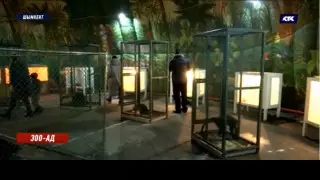 "Адом" назвали контактный зоопарк в Шымкенте