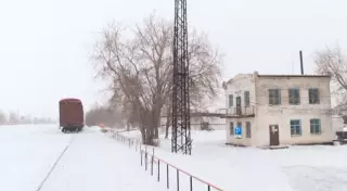 Казахстанка, которую переехал поезд, доползла до дома без ног