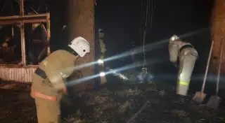 Пожар на птицефабрике в Туркестанской области: погибли 3 тысячи цыплят