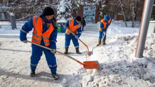 Молодежь столицы организовала мобильные группы помощи
